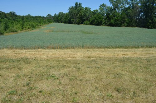 Property photo 15 - 21 Acre Modern Country Estate